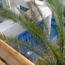 Hotel Kakadu Keszthely - Wellness