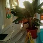 Hotel Kakadu Keszthely - Wellness