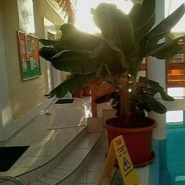 Hotel Kakadu Keszthely - Wellness