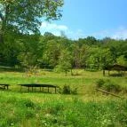 Napsugár Vendégház Sátoraljaújhely - Medence/kert