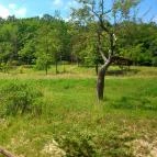 Napsugár Vendégház Sátoraljaújhely - Medence/kert