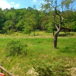 Napsugár Vendégház , Sátoraljaújhely - Medence/kert