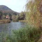 Hotel Bellevue Esztergom - Környék