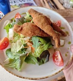 Trifla Ivó & Konyha