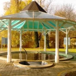 Liget Wellness & Konferencia Hotel Szarvas - Wellness