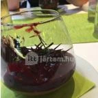 Imola Hotel Platán Eger - Vendéglátás