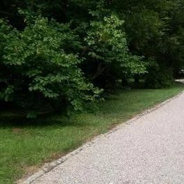 Ensana Thermal Sárvár Sárvár - Környék