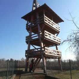 Pincelakat Borház & Szálloda Császártöltés - Környék