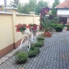 Andi Apartman Gyula - Medence/kert