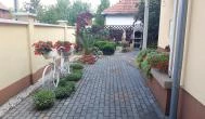 Andi Apartman Gyula - Medence/kert
