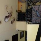 Forster Vadászkastély és Szálloda Bugyi - Belső