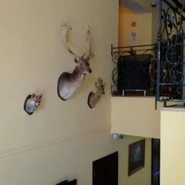 Forster Vadászkastély és Szálloda , Bugyi - Belső