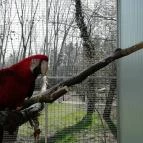 Forster Vadászkastély és Szálloda Bugyi - Környék