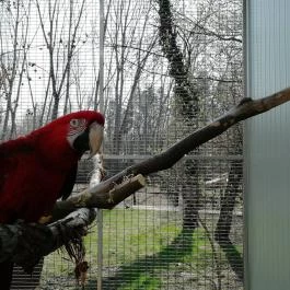 Forster Vadászkastély és Szálloda , Bugyi - Környék