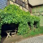 Puchner Kastélyszálló Bikal - Környék