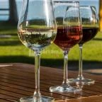 Andi Grillkert Csopak - Étel/ital