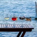 Andi Grillkert Csopak - Egyéb