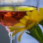 Sáfránkert Vendéglő Paloznak - Étel/ital