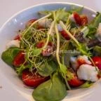 Sáfránkert Vendéglő Paloznak - Étel/ital