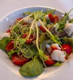 Sáfránkert Vendéglő