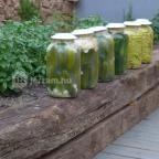 Sáfránkert Vendéglő Paloznak - Külső kép