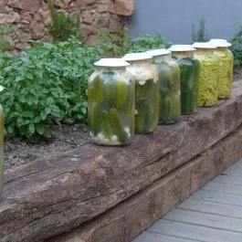 Sáfránkert Vendéglő Paloznak - Külső kép