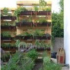 Sáfránkert Vendéglő Paloznak - Külső kép