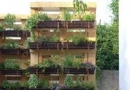 Sáfránkert Vendéglő Paloznak