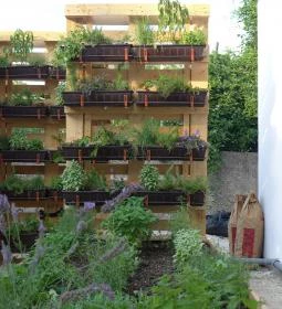 Sáfránkert Vendéglő