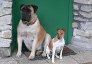 Moha Erdei Vendégfogadó Sopron