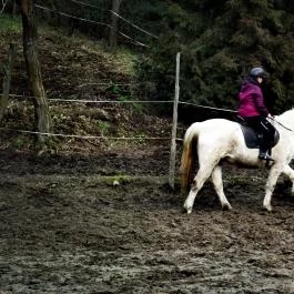 Királykúti Lovasporta Nagymaros - Környék