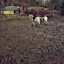 Királykúti Lovasporta Nagymaros - Környék