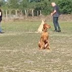 Club Dobogómajor Cserszegtomaj - Egyéb