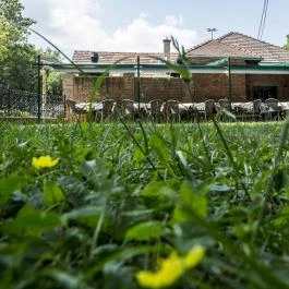 Fióka, Budapest - Egyéb