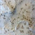 Villa Fiore Lesencetomaj - Egyéb