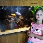 Aqua Hotel Kistelek Kistelek - Belső