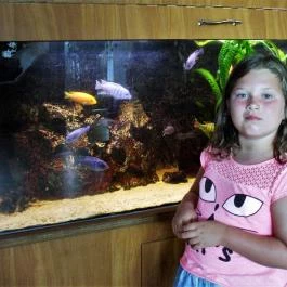 Aqua Hotel Kistelek Kistelek - Belső