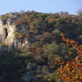 Margit Vendégház Csákvár - Környék