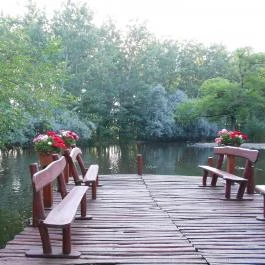 Nyerges Hotel Termál Monor - Környék