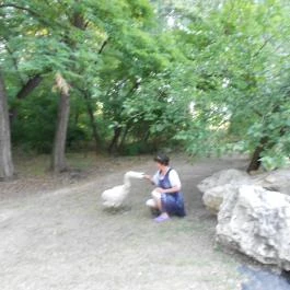 Nyerges Hotel Termál Monor - Környék