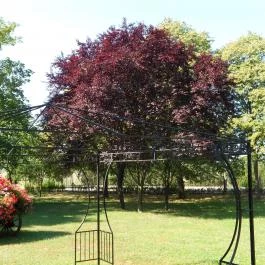 Nyerges Hotel Termál Monor - Környék