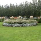 Wellness Hotel Katalin Gyenesdiás - Medence/kert