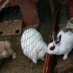 Wellness Hotel Katalin Gyenesdiás - Egyéb