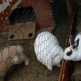 Wellness Hotel Katalin, Gyenesdiás - Egyéb