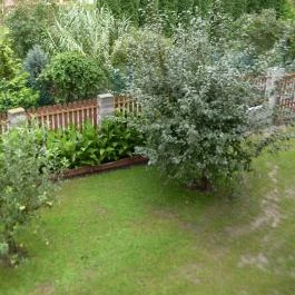 Wellness Hotel Katalin, Gyenesdiás - Medence/kert