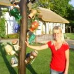 Sári Csárda Dunakiliti - Egyéb