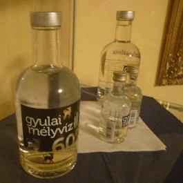 Aqua Hotel Gyula - Belső