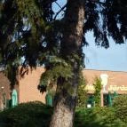 Aqua Hotel Gyula - Környék