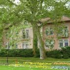 Hunguest Hotel Panoráma Hévíz - Környék