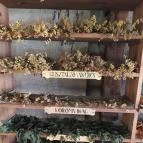 Arany Egyszarvú Patikamúzeum Kőszeg - Belső